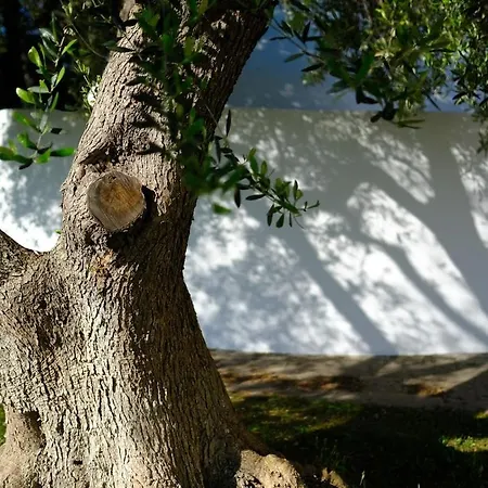 Trullo Dei Pini Ceglie Messapica