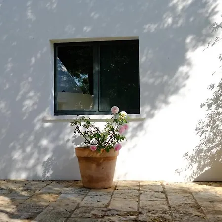 Villa Trullo Dei Pini