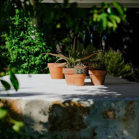 Trullo Dei Pini
