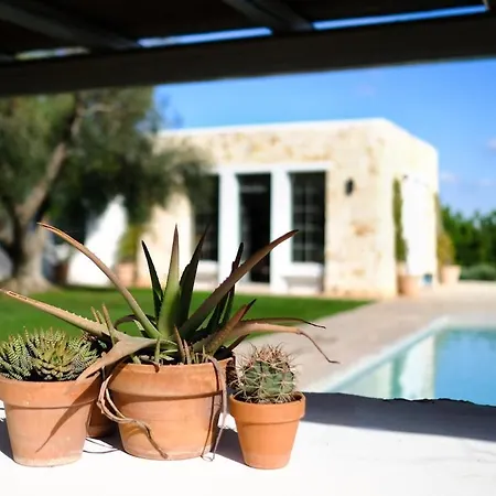 Trullo Dei Pini
