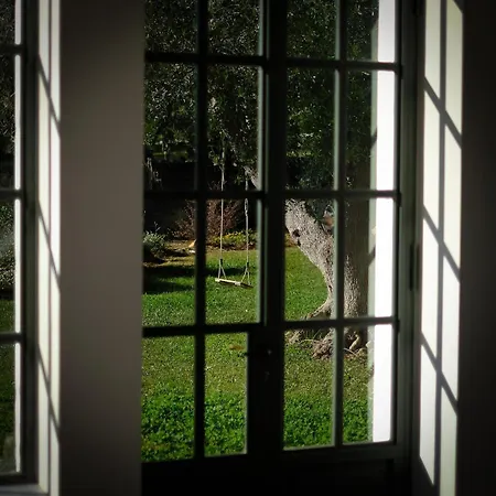 Villa Trullo Dei Pini