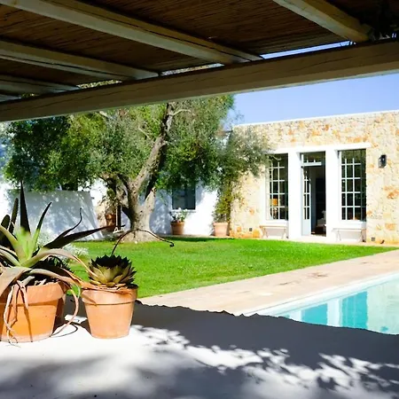 Trullo Dei Pini Ceglie Messapica